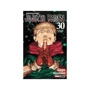 Jujutsu Kaisen N.30