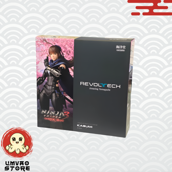 Amazing Yamaguchi Revoltech NR086 Kasumi